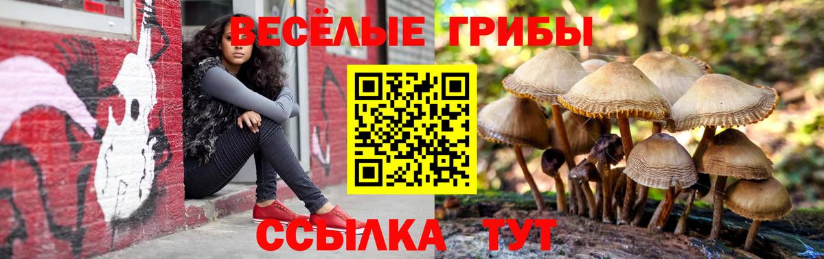 Галлюциногенные грибы прущие грибы  Вход с VPN  Кудымкар  где можно купить наркотик  Галлюциногенные грибы мицелий 